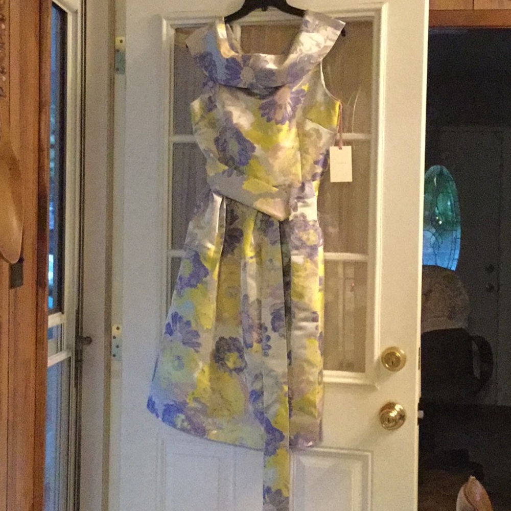 NWT Alex Marie dress